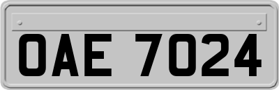 OAE7024