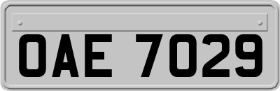 OAE7029