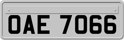 OAE7066