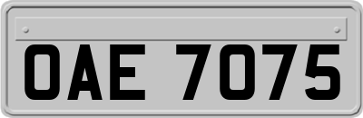 OAE7075