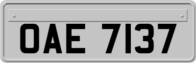 OAE7137