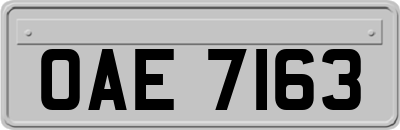 OAE7163