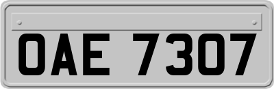 OAE7307