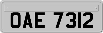 OAE7312