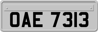 OAE7313