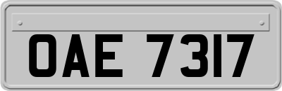 OAE7317