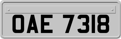 OAE7318