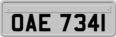 OAE7341