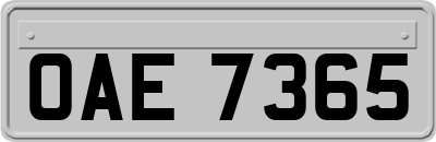 OAE7365