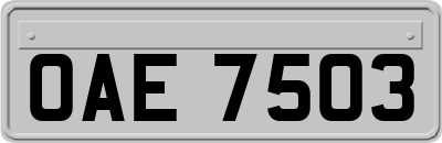 OAE7503