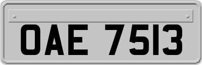 OAE7513