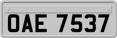 OAE7537