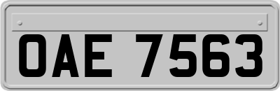 OAE7563
