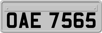 OAE7565