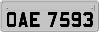 OAE7593