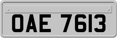 OAE7613