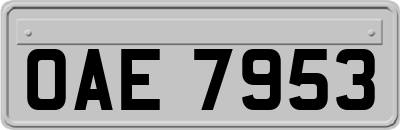 OAE7953