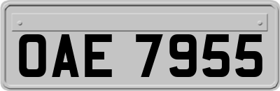 OAE7955