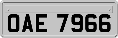 OAE7966