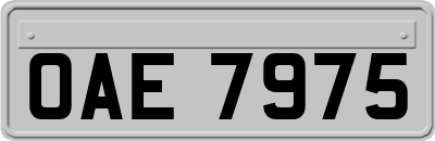 OAE7975