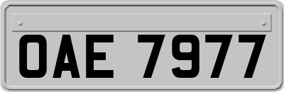 OAE7977