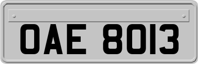 OAE8013