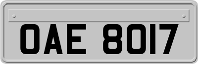 OAE8017