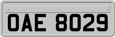 OAE8029