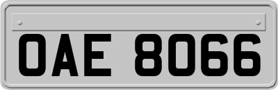 OAE8066