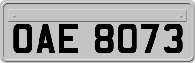 OAE8073