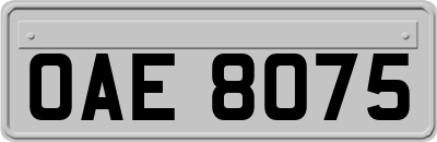 OAE8075