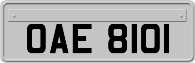 OAE8101