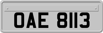 OAE8113