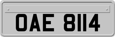 OAE8114