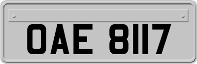 OAE8117