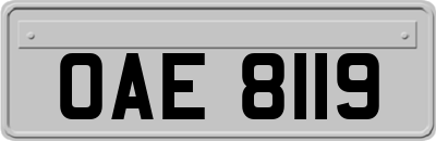OAE8119
