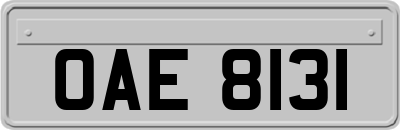 OAE8131