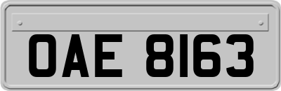 OAE8163