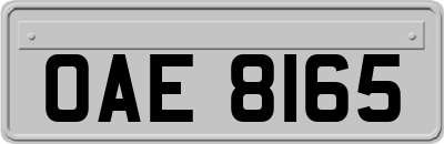 OAE8165