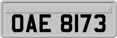 OAE8173