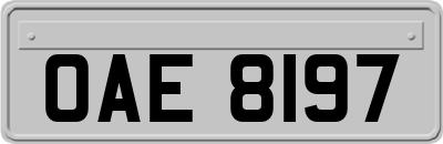 OAE8197