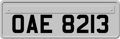 OAE8213