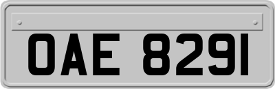 OAE8291