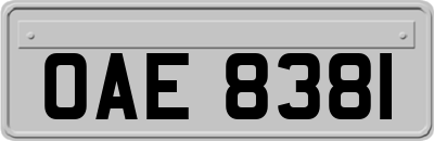 OAE8381