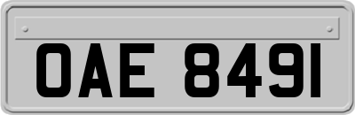 OAE8491