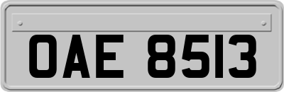 OAE8513