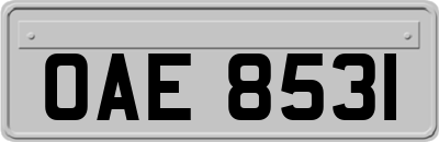 OAE8531