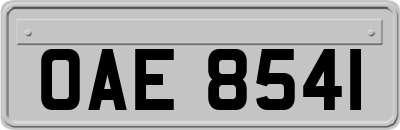 OAE8541
