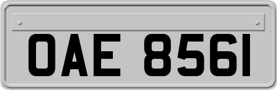 OAE8561
