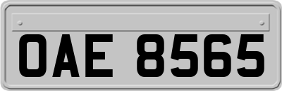 OAE8565